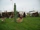 Thumbs/tn_Tohrn western event 087.jpg